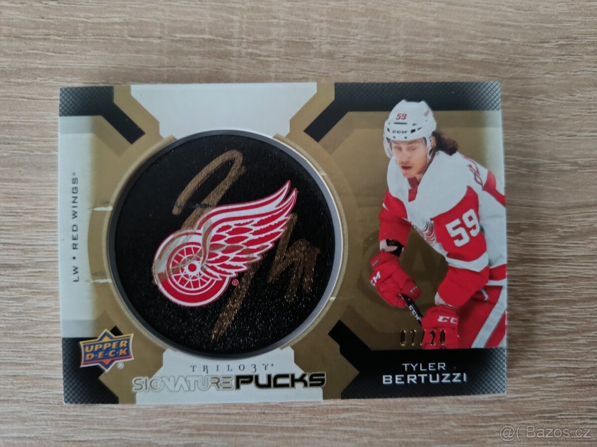 Tyler Bertuzzi Detroit Red Wings