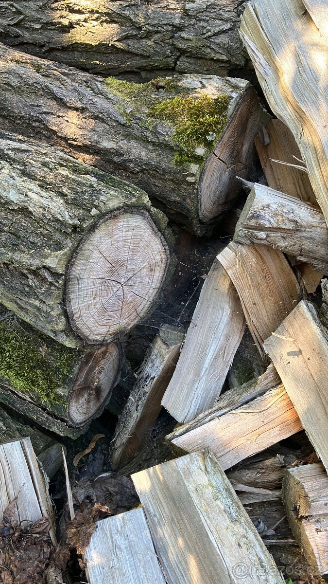 Palivové dřevo agát