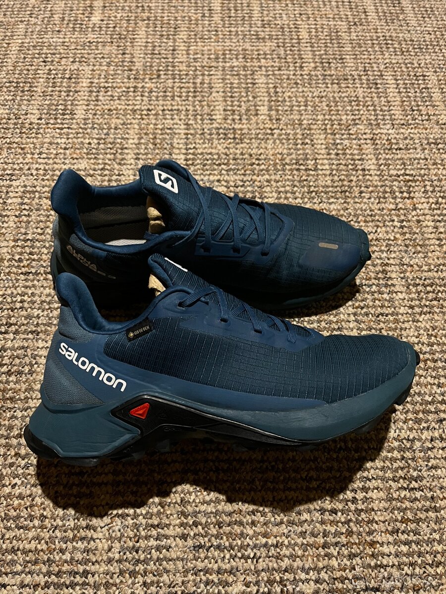 Salomon Alphacross 3 GTX, velikost 42