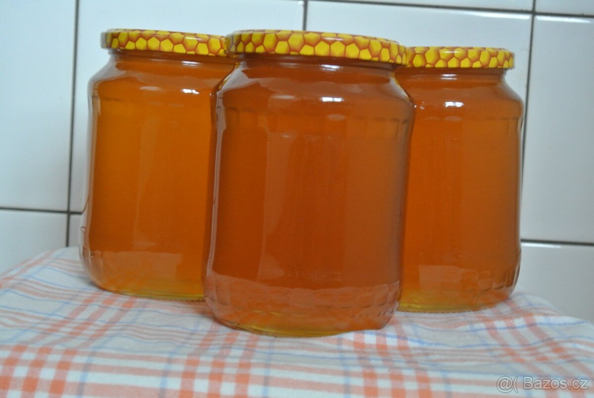 Lesní med medovicový