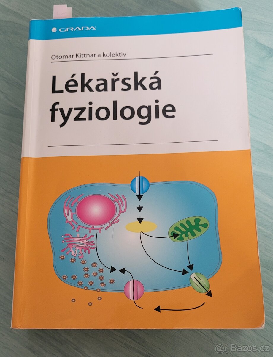 Lékařská fyziologie - Kittnar