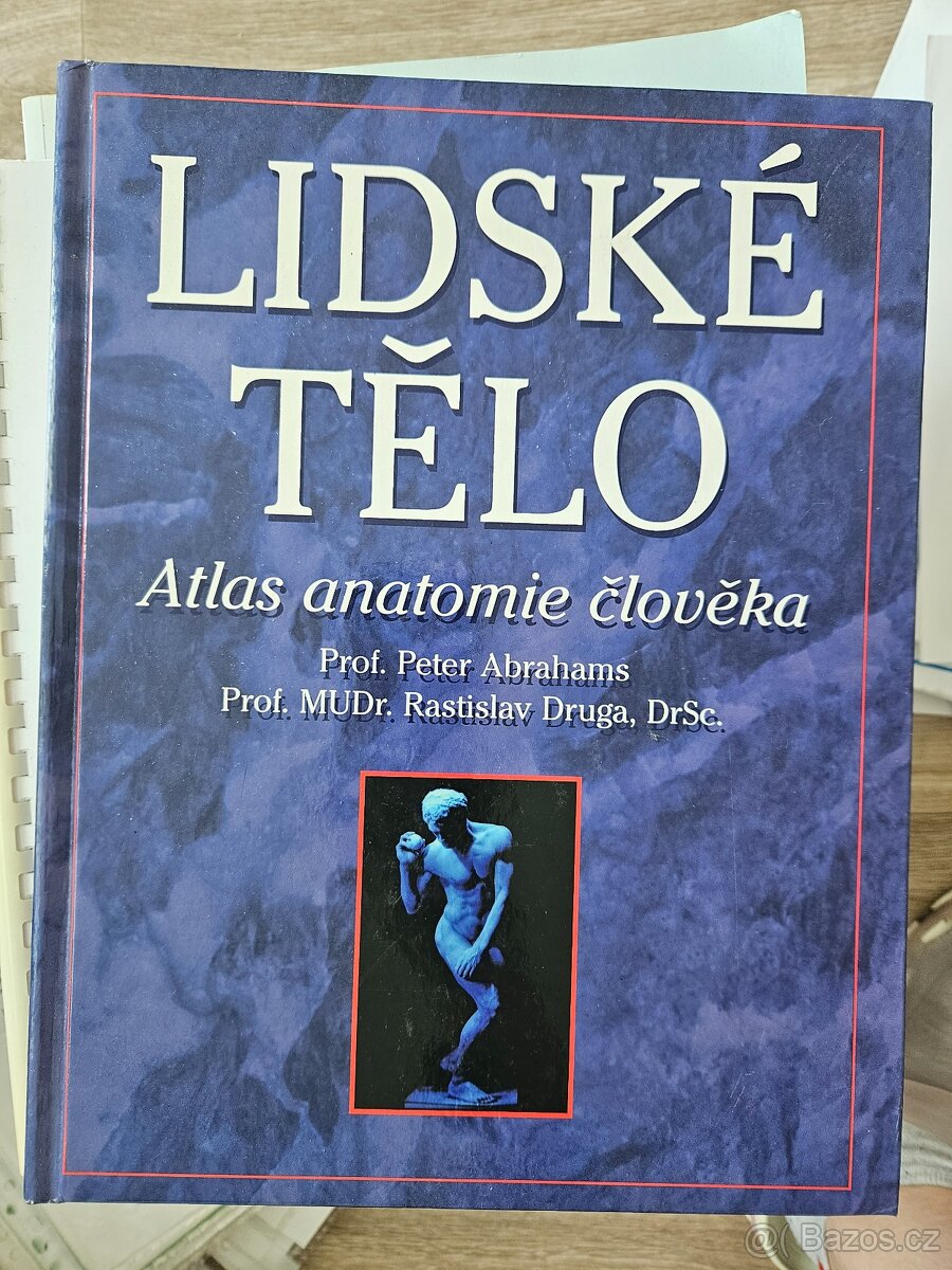 Lidské tělo