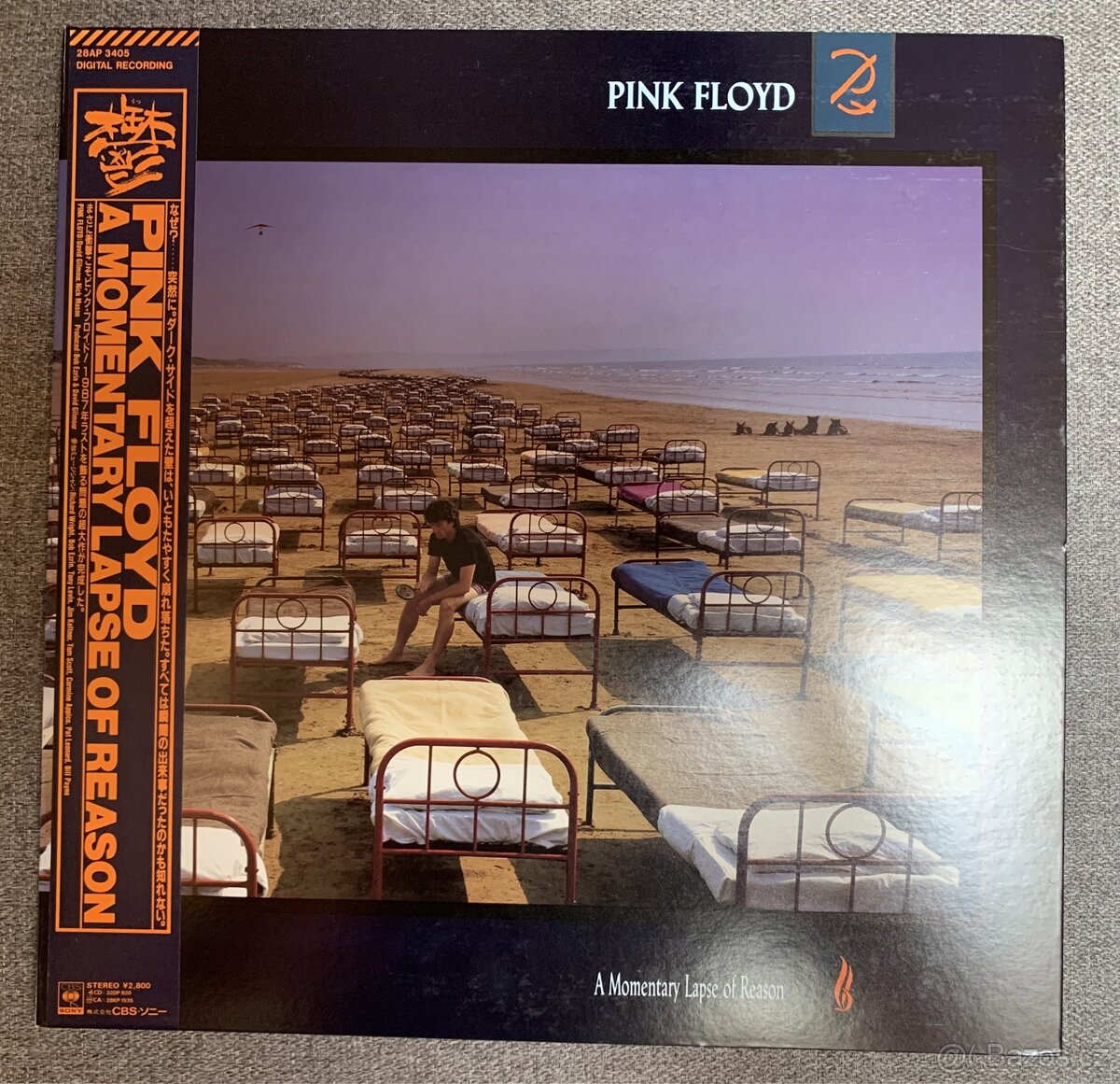 Pink Floyd A MOMENTARY LAPSE.. | 1st Japan | TOP STAV