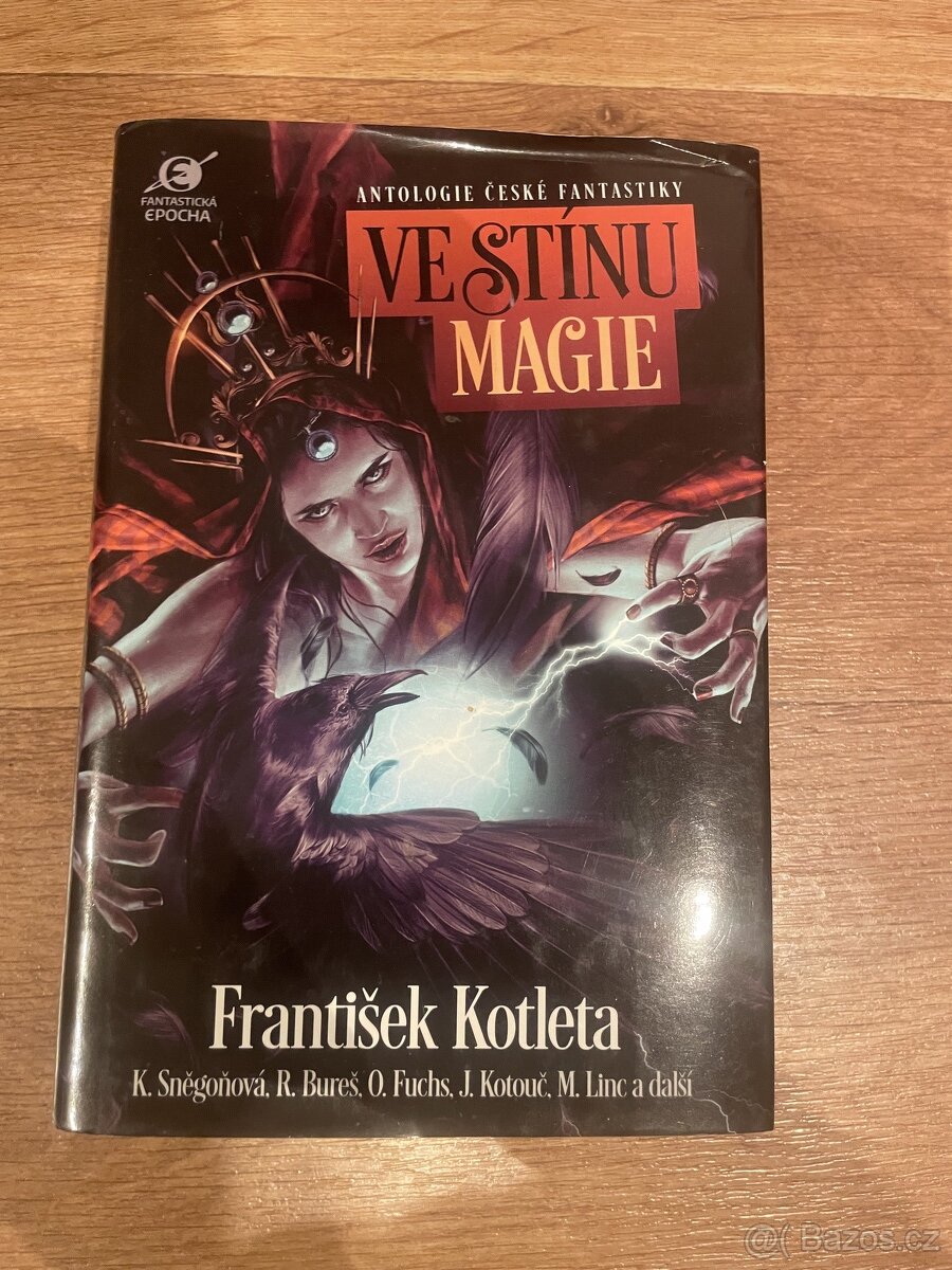 František Kotleta a kol. - Ve stínu magie (Antologie)