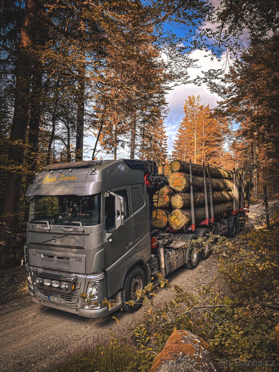 Přijmu řidiče na hydraulickou ruku, dřevo, lesovůz Volvo Fh4