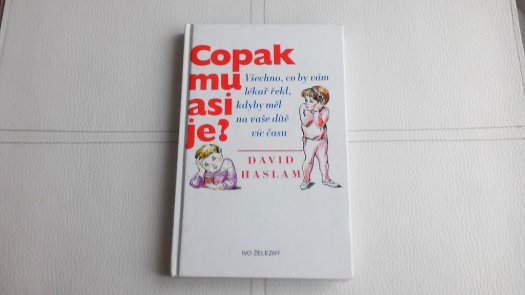 D.Haslam - Copak mu asi je?