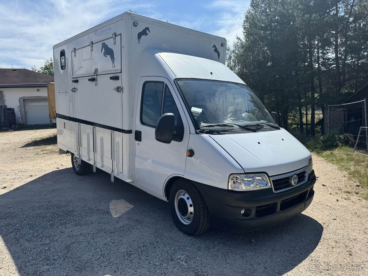 Fiat ducato pro prepravu koní 2.8jtd