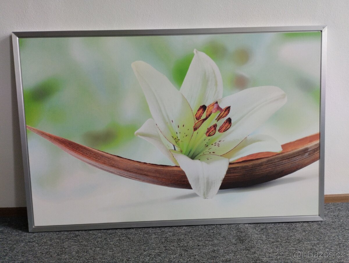 Obraz 115x75 cm

