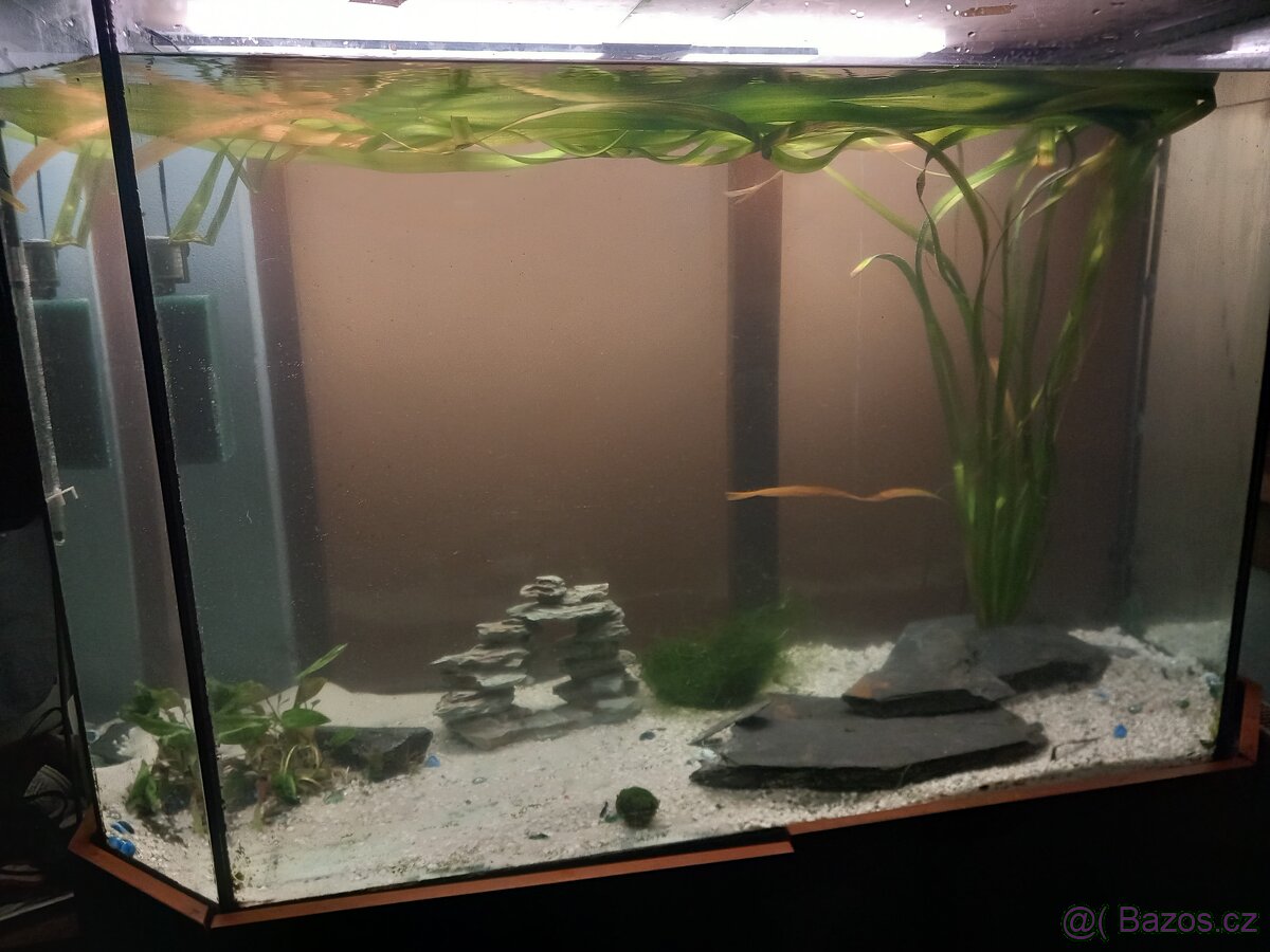 Velké akvarium