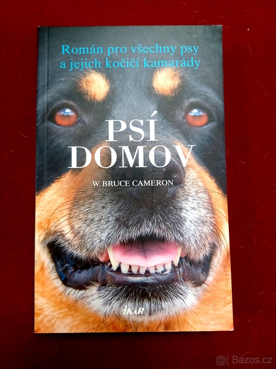 Psí domov