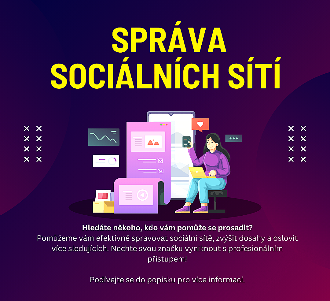 Správa sociálních sítí