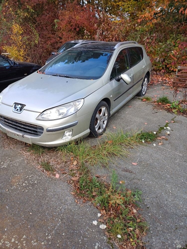 Automobil Peugeot 407 a  automobil Citroën Saxo