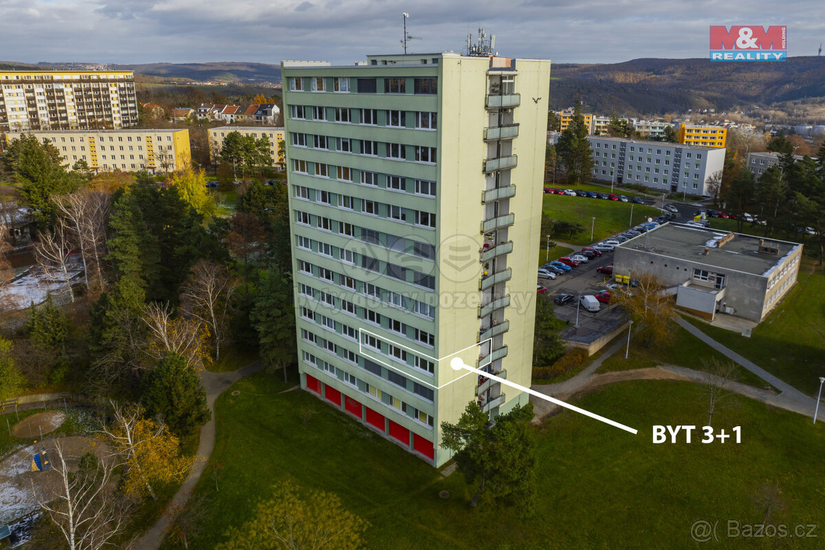 Prodej bytu 3+1, 66 m², Brno, ul. Nejedlého