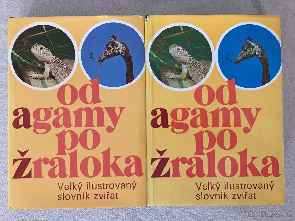 Od agamy po žraloka. Velký ilustr. slovník zvířat.