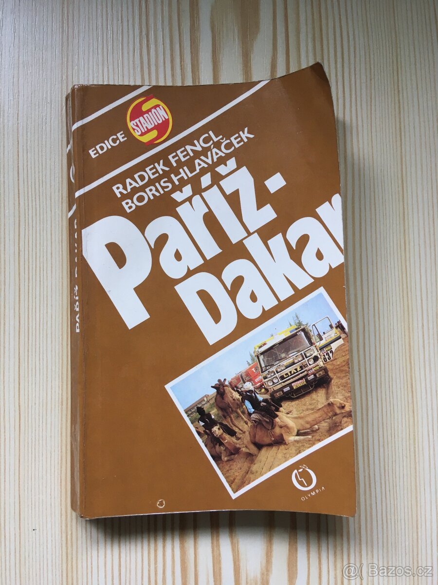 Paříž-Dakar Radek Fencl, Boris Hlaváček