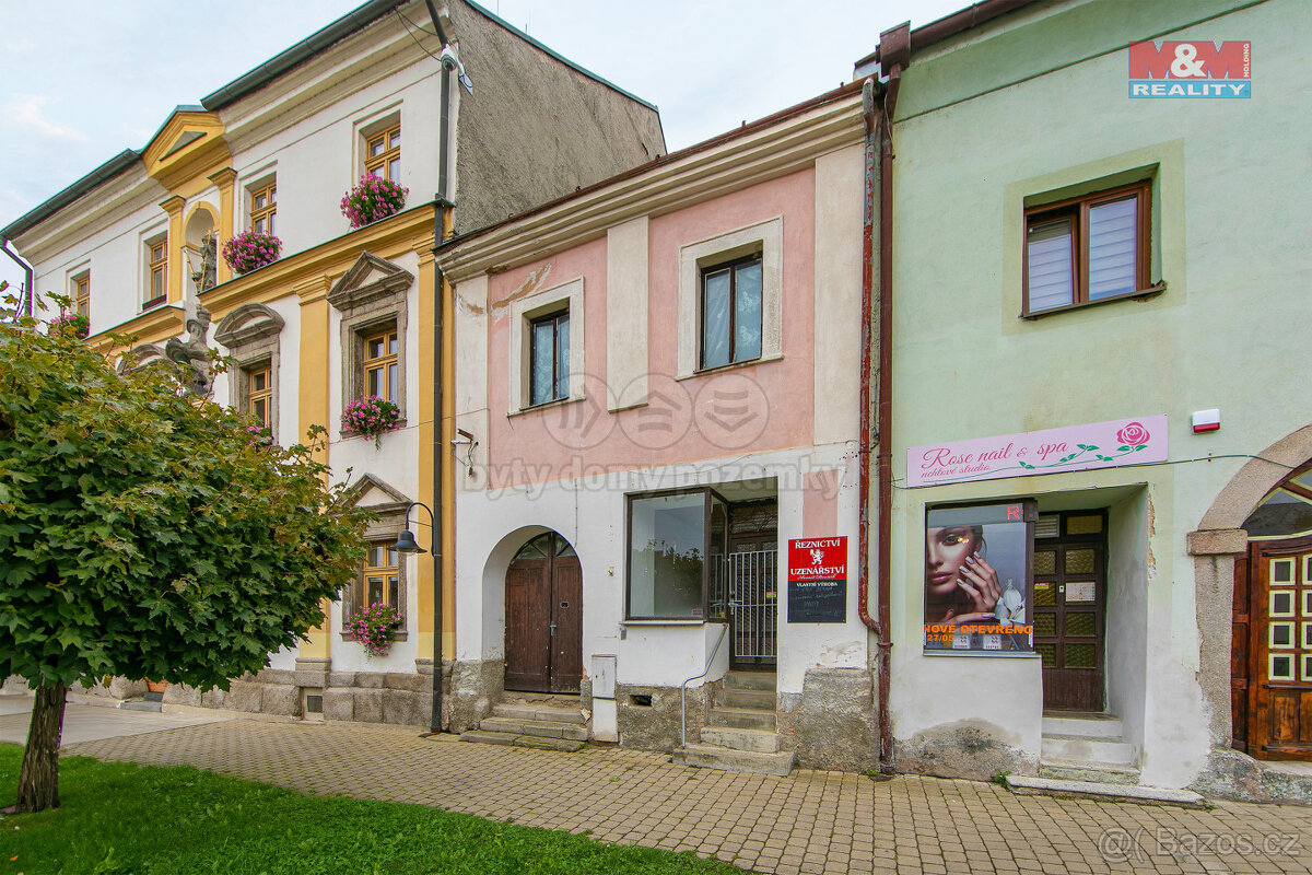 Prodej rodinného domu, 180 m², Bor, Náměstí Republiky