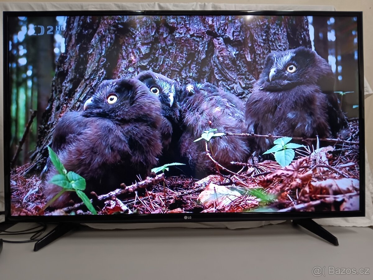 LG 49LF510V,123cm,Full HD,USB,Sat.Tuner