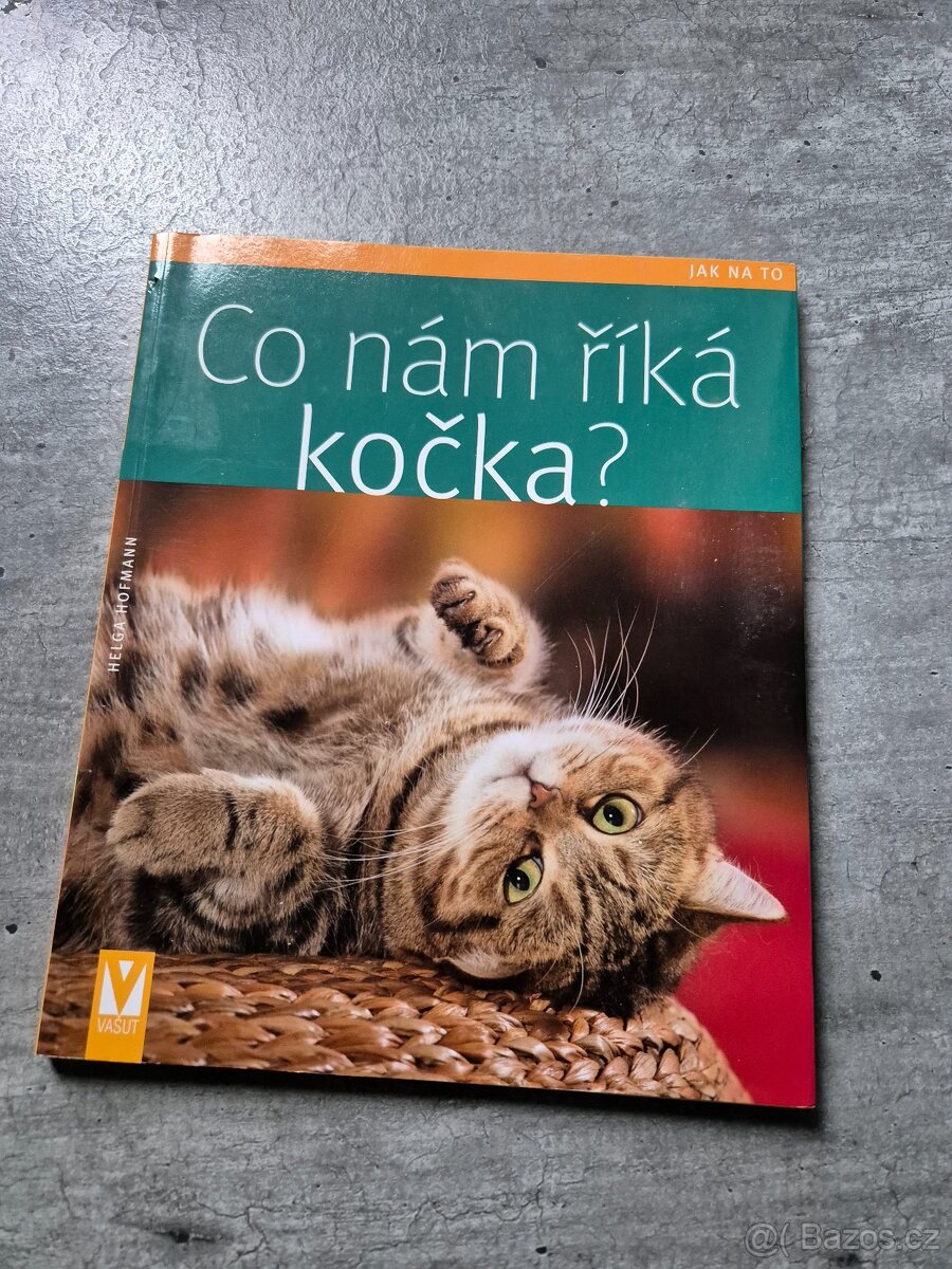 CO nám říká kočka