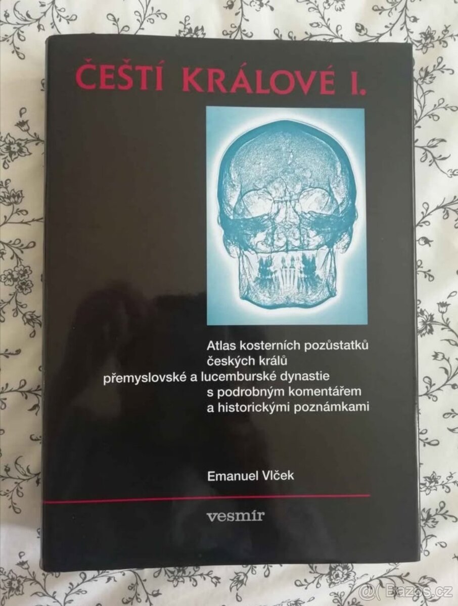 Emanuel Vlček Čeští Králové 1.