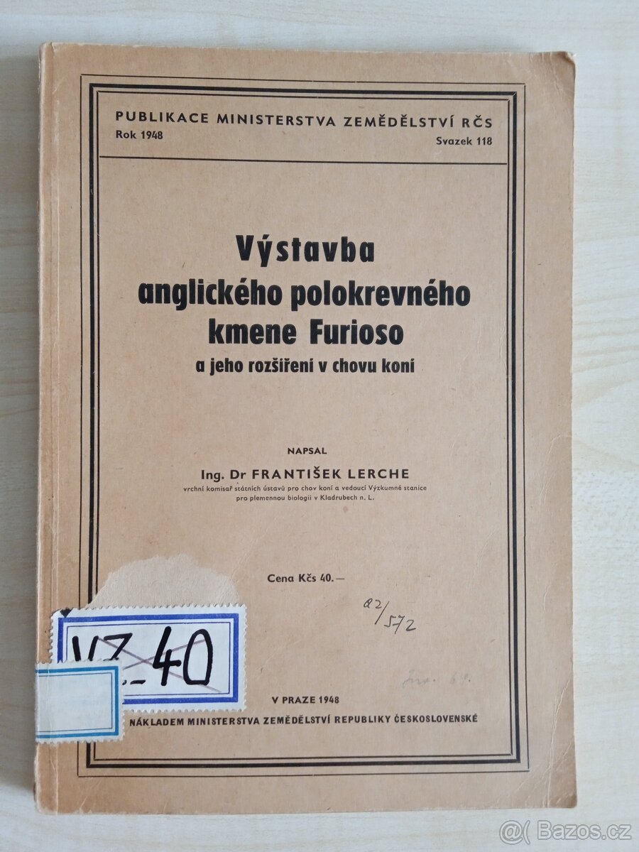 Výstavba anglického polokrevného kmene Furioso