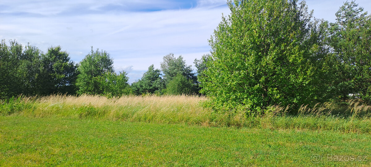 České Velenice, Štefánikova, 6981 m2