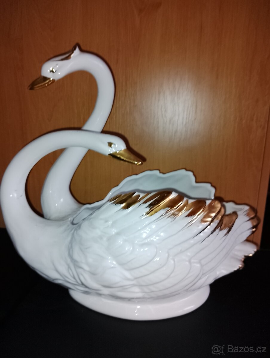 Labuť porcelánová