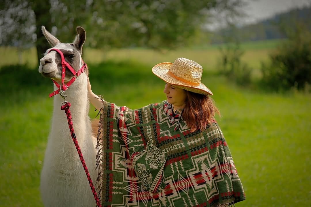 Lama krotká