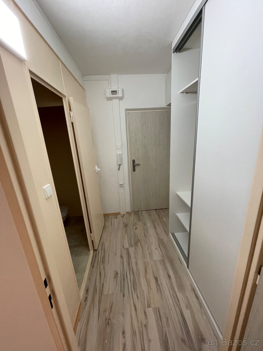 Pronájem bytu 1+kk (34 m²), Česká, Most