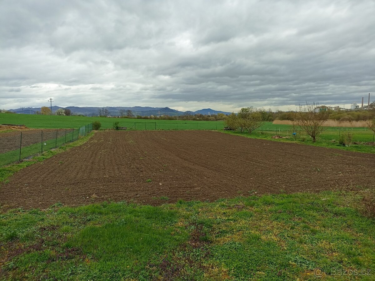 Prodej zahrady v Čížkovicích (Lovosice)