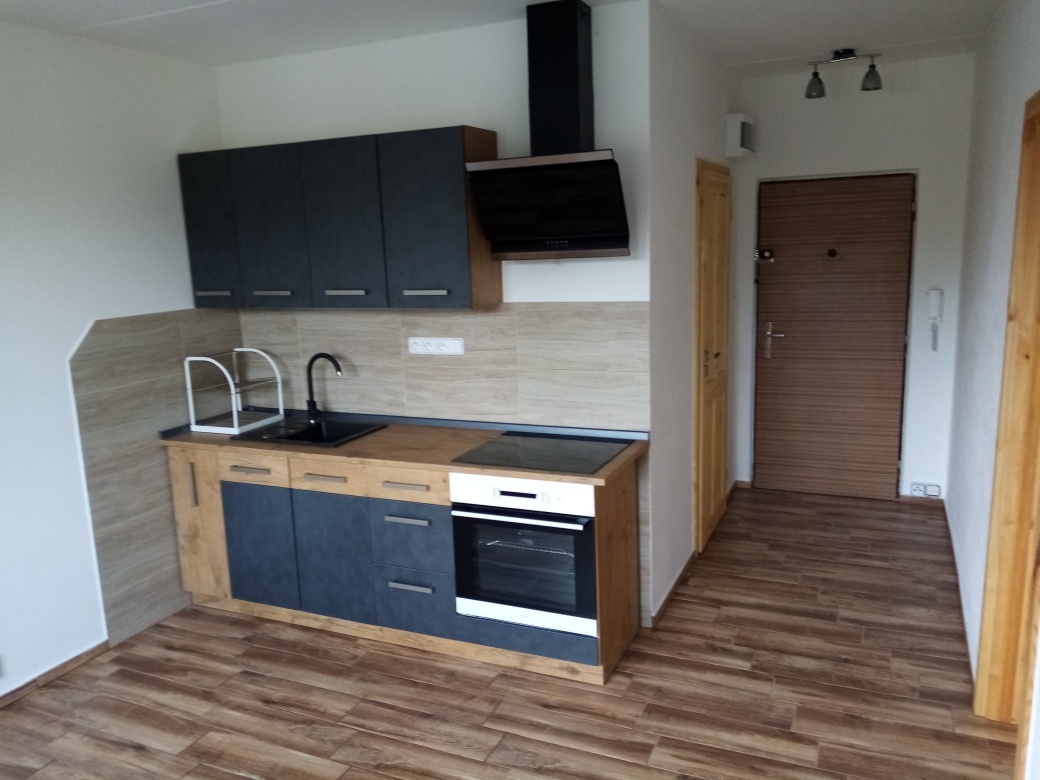 Flat for rent, 1 bedroom and 1 kitchen - 35 m² byt Chomutov