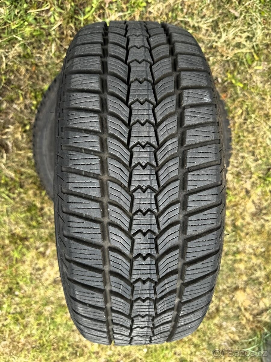 Sava Eskimo HP2 205/55 R16 91 H Zimní