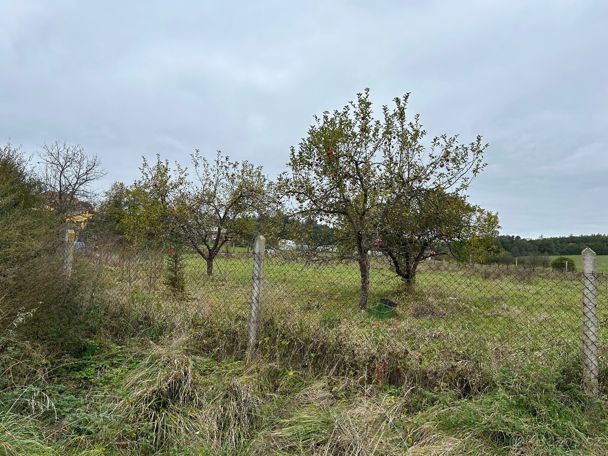 Pozemek Netolice-Petrův Dvůr 3500m²