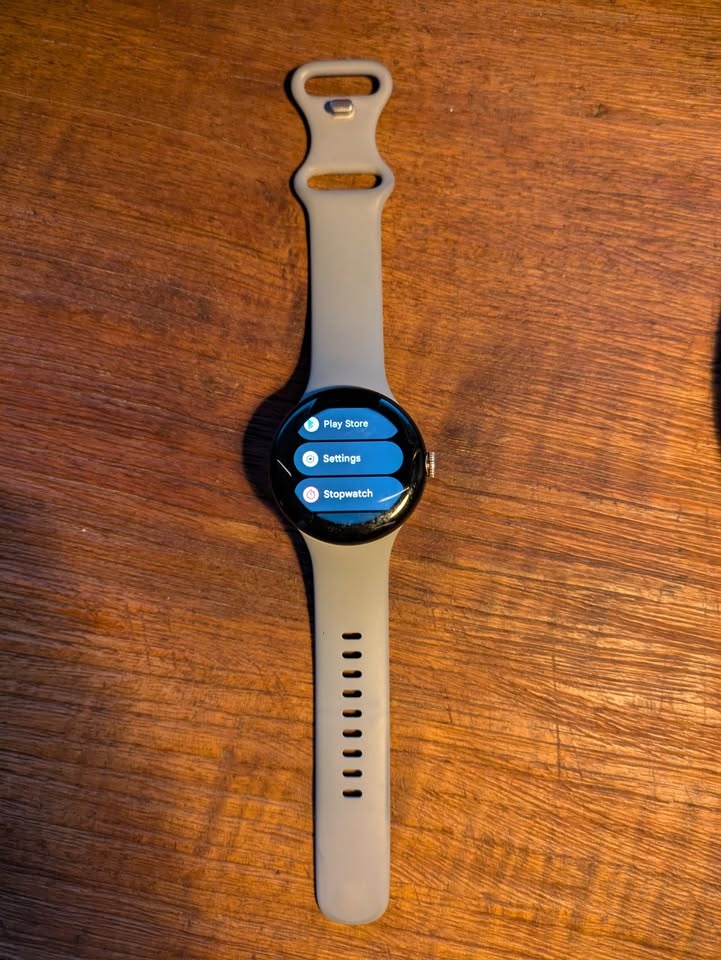 Chytré hodinky - Google Pixel Watch 2 LTE