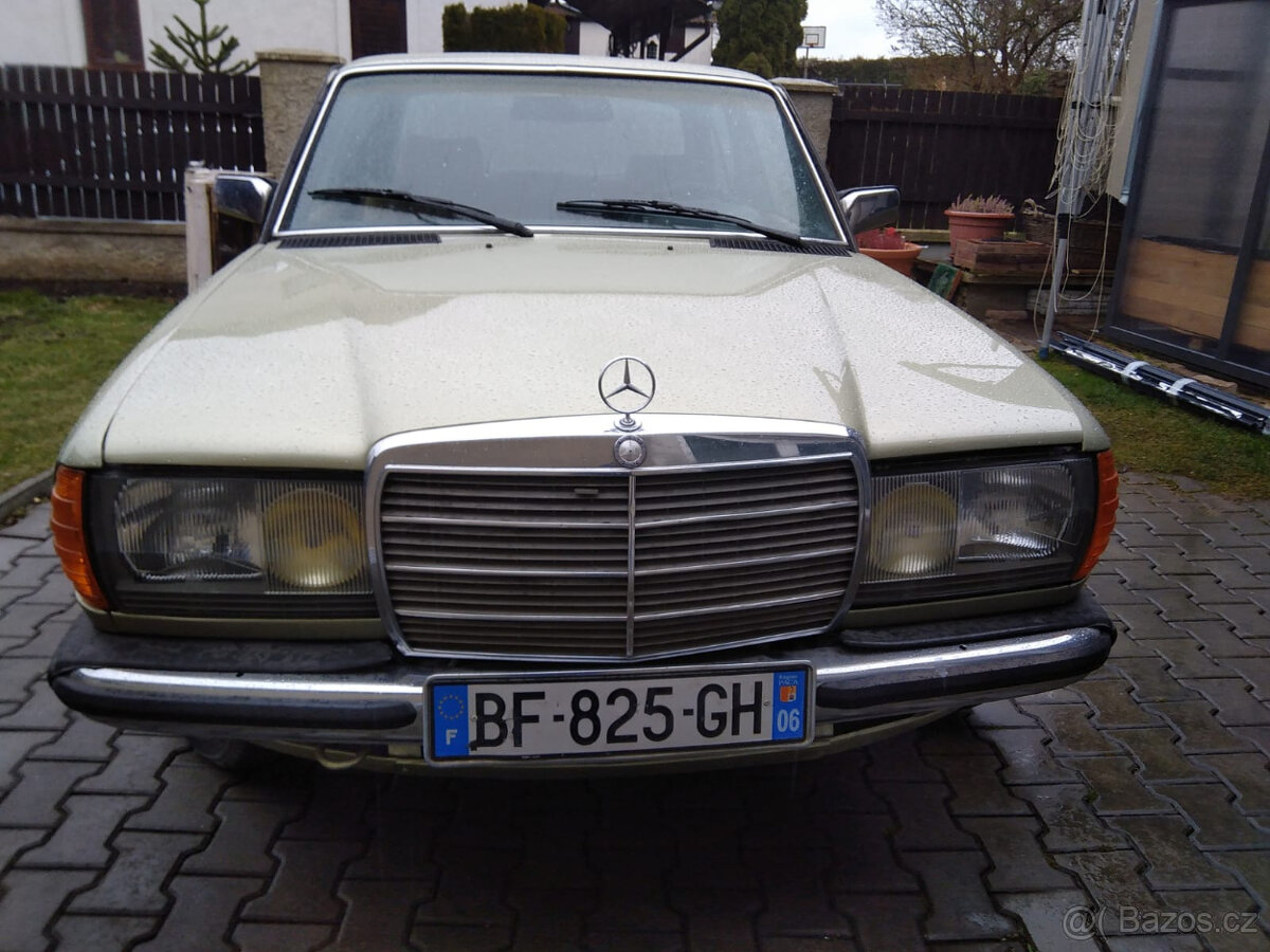 Mercedes-Benz W123