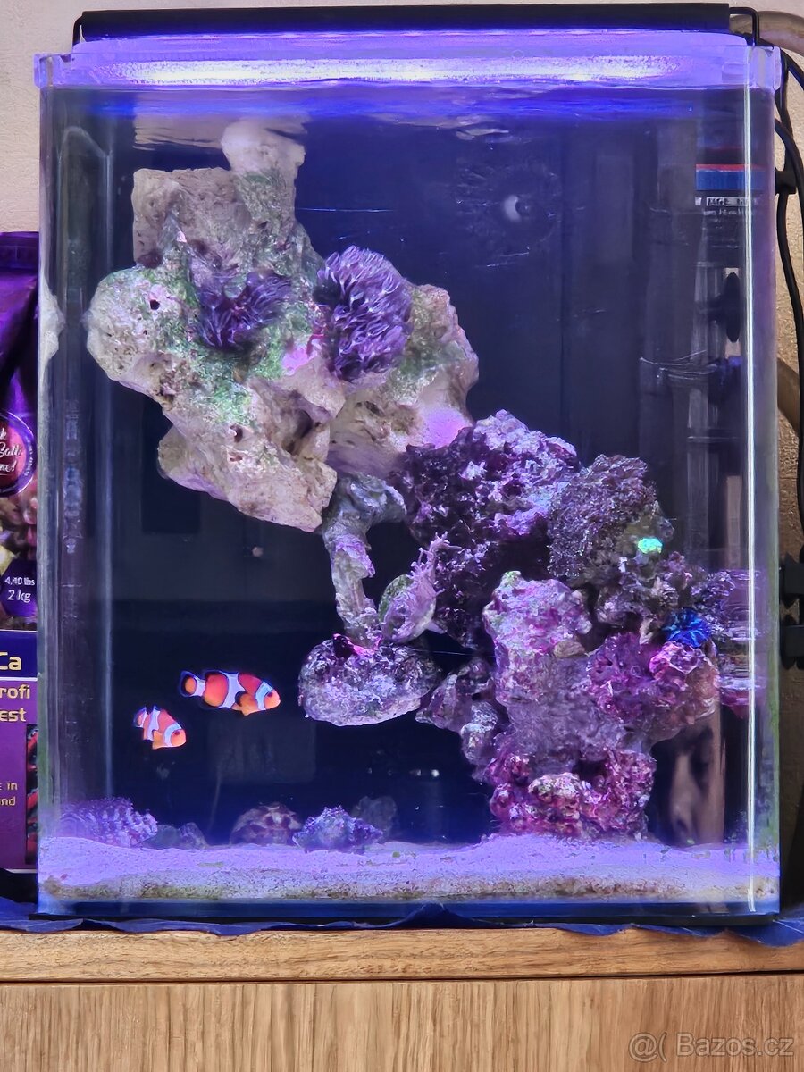 Mořské akvarium NANO 30 L