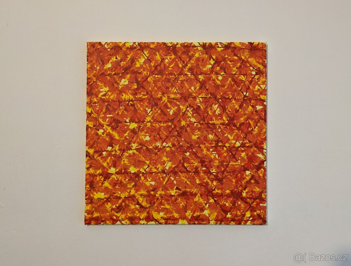 Obraz pyramidy kvetou akryl na plátně 40x40 Moňas