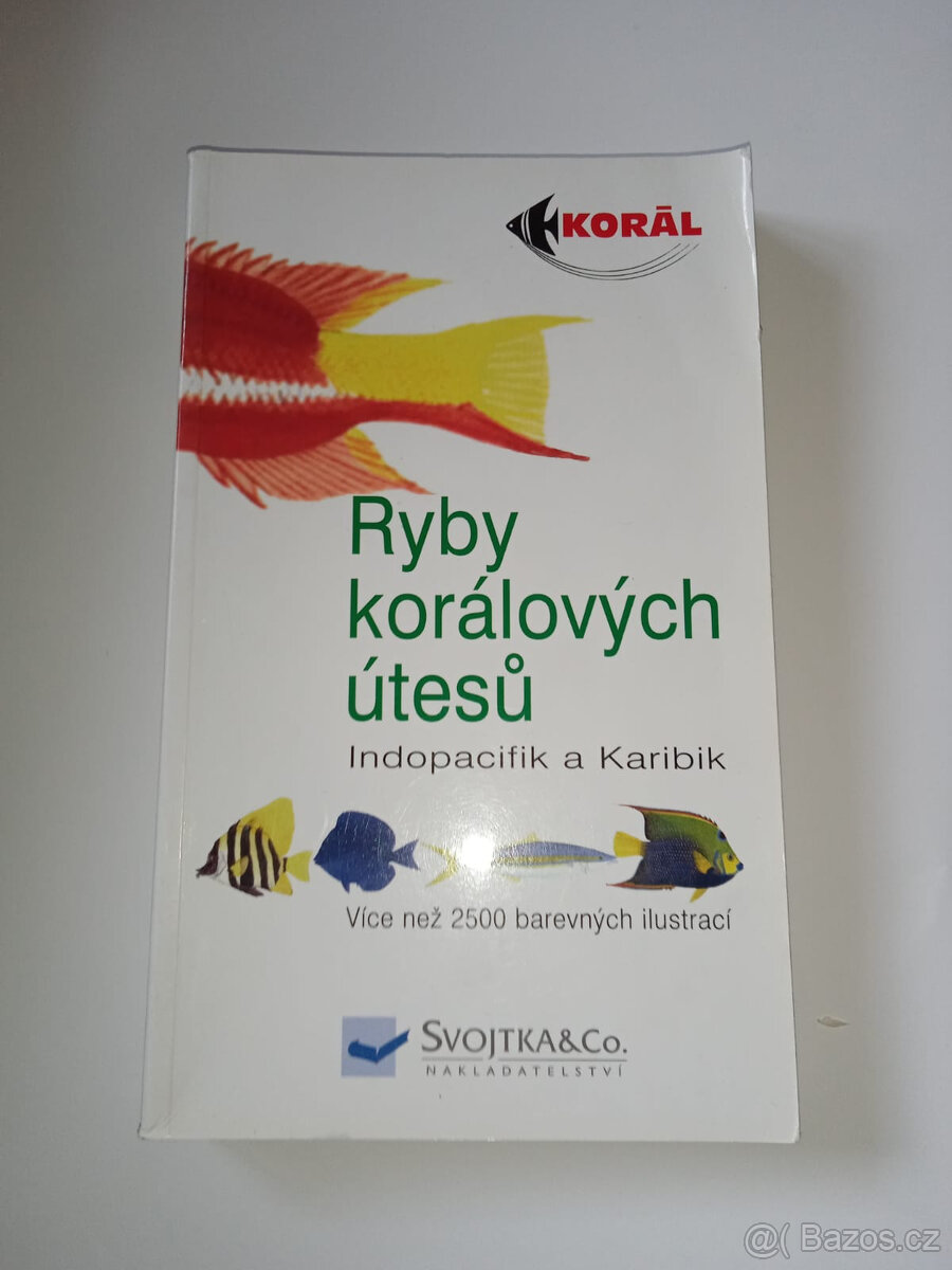 Ryby korálových útesů