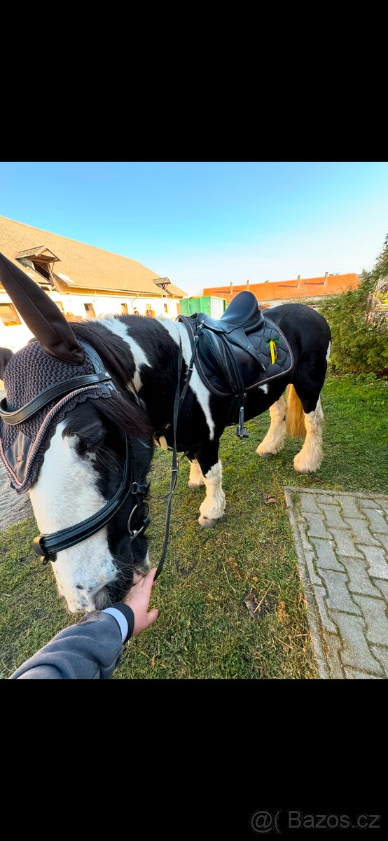 Prodám sadu Equestrian Stockholm