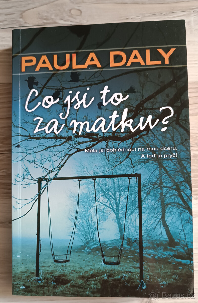 Paula Daly - Co jsi to za matku?