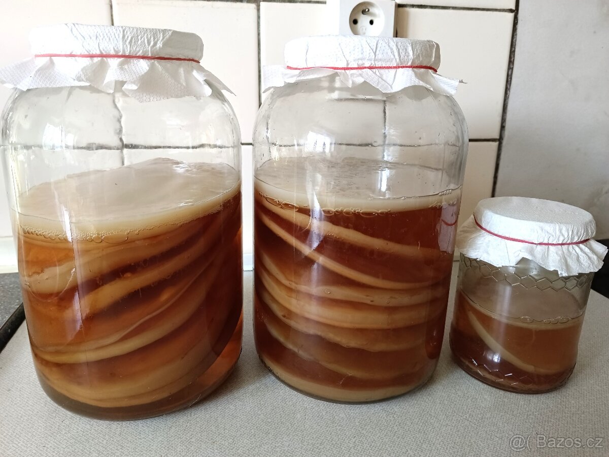 Kombucha