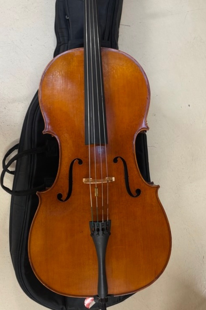 Prodám krásné 4/4 Violoncello