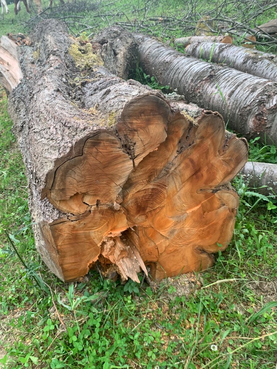 Třešňové dřevo