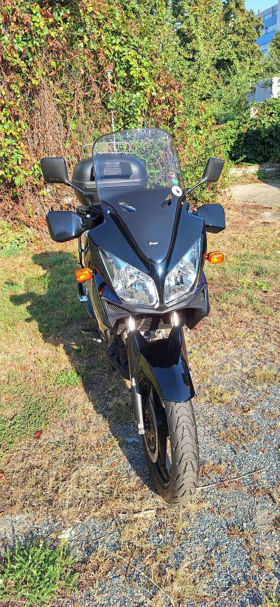 SUZUKI DL 1000 V-strom