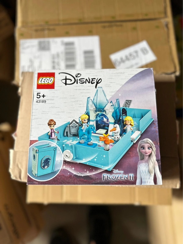 LEGO Disney 43189 Elsa a Nokk a jejich pohádková kniha