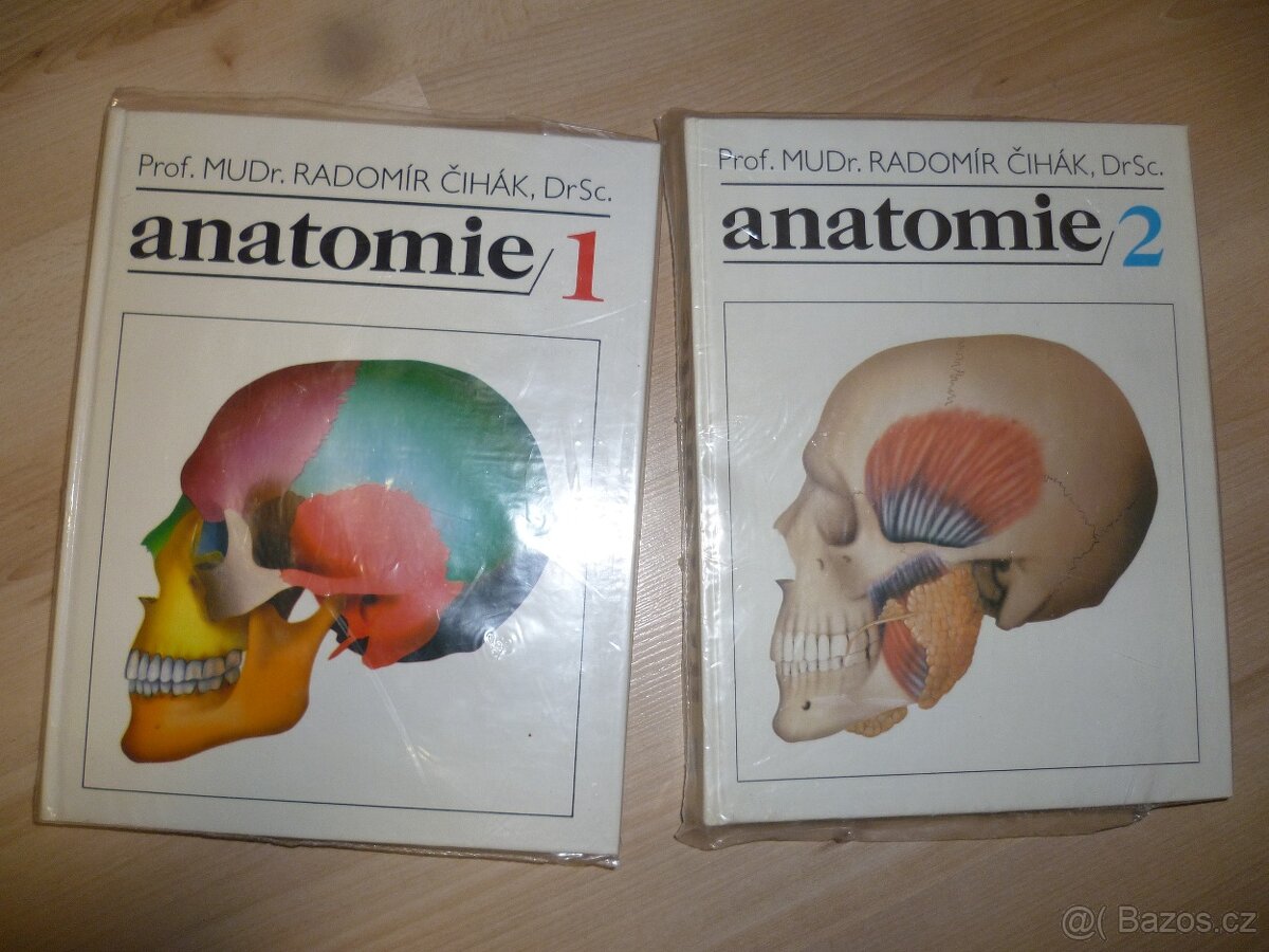 anatomie 2x