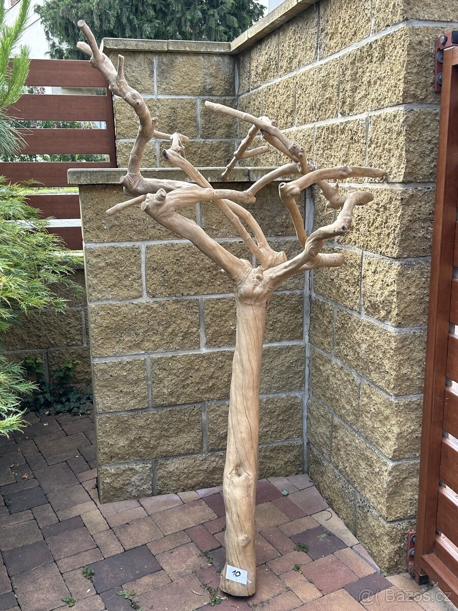 Dekorační kořeny z tvrdého tropického dřeva do terárií (10)