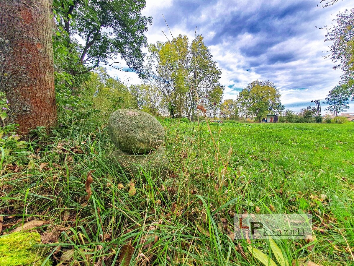 Prodej stavebního pozemku 4763 m² Chotěšice - Malá Strana