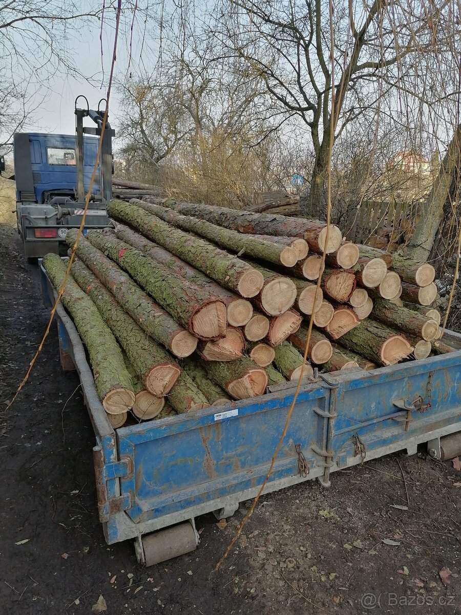 Modřínová kulatina