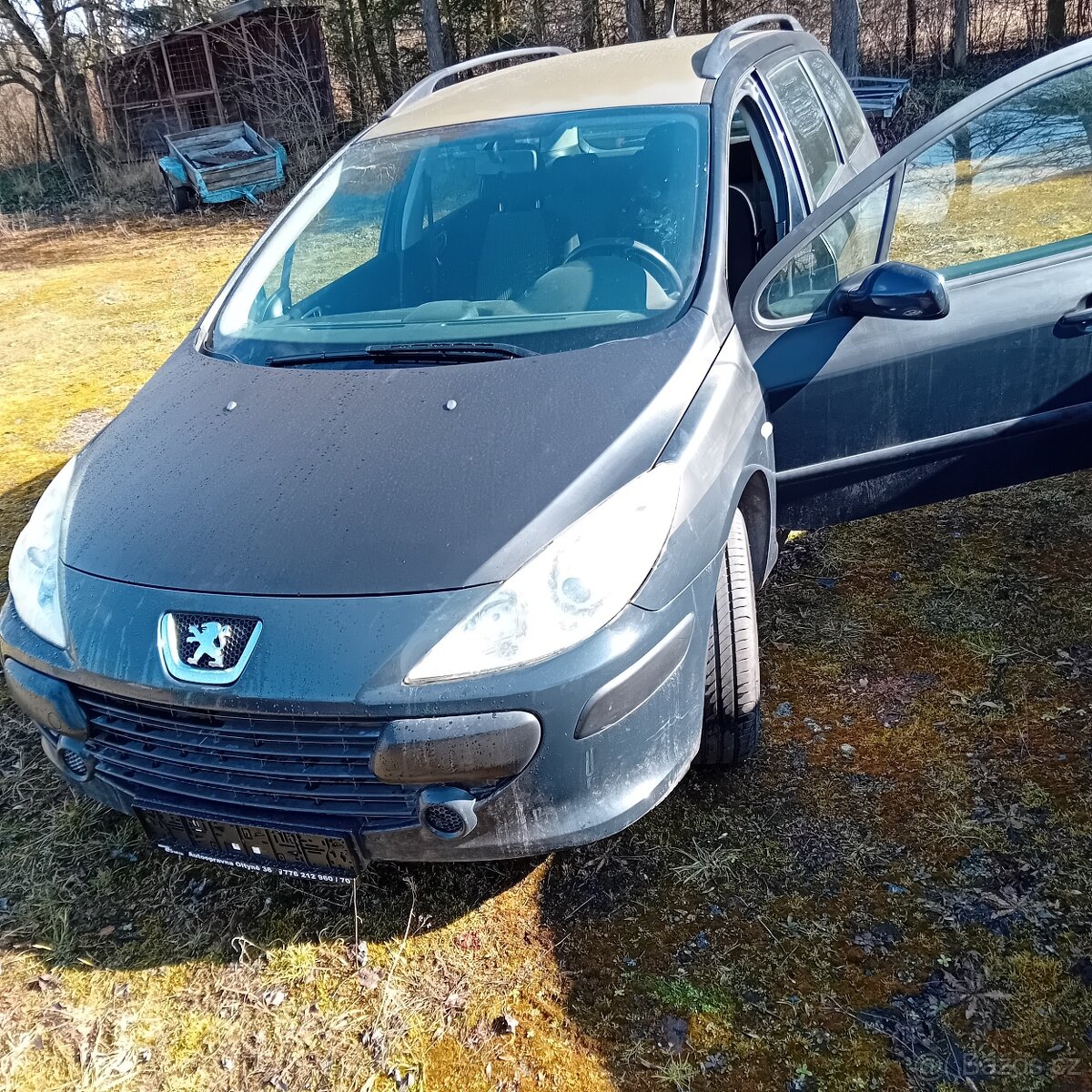 Peugeot 307