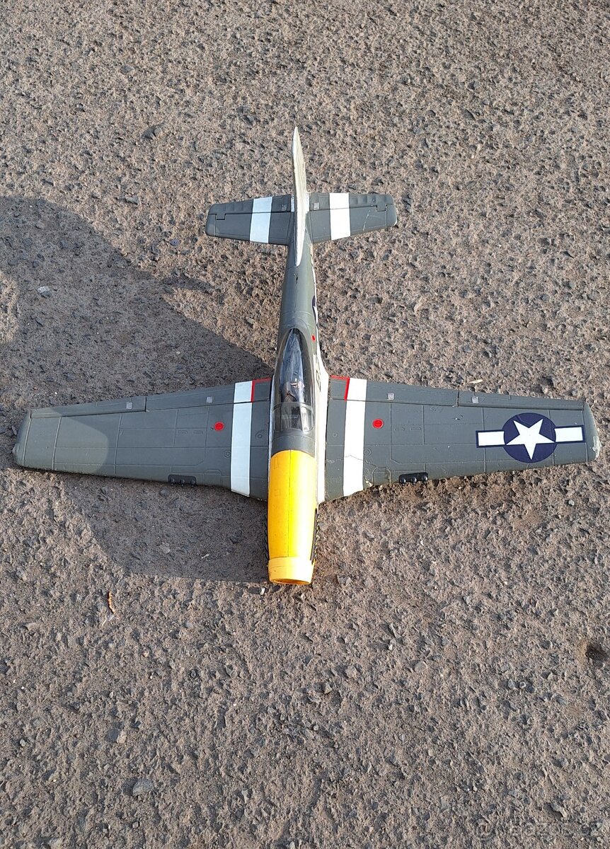 RC model Mustang